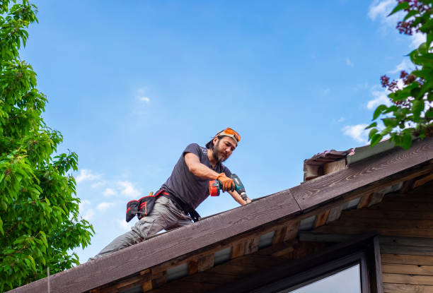 Siding Services in Duluth, WA